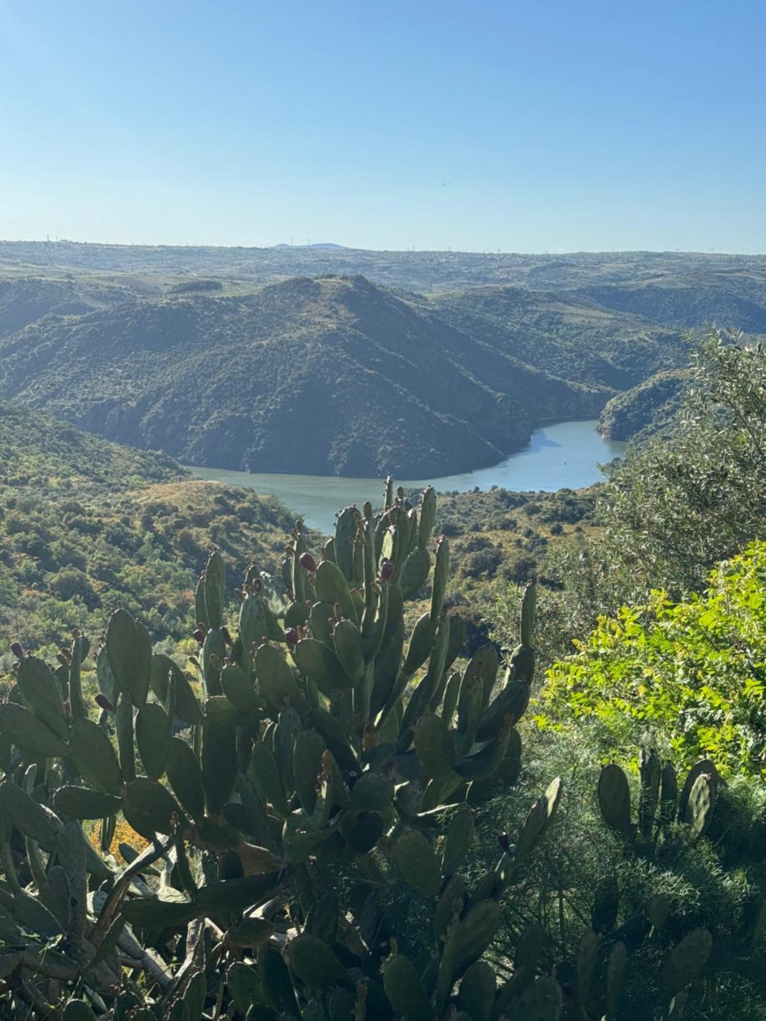 La Casita De Los Arribes Fermoselle Eksteriør billede