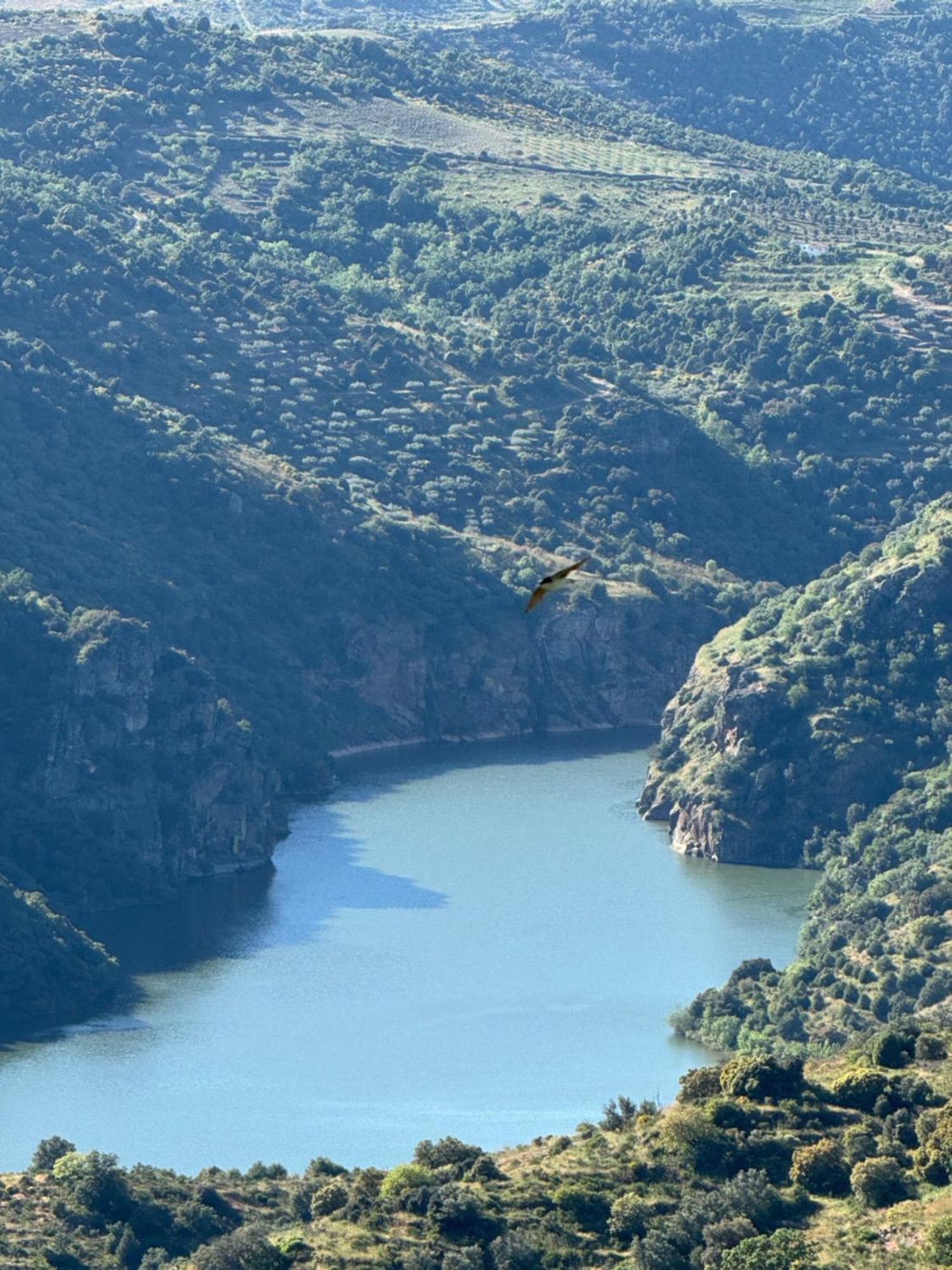 La Casita De Los Arribes Fermoselle Eksteriør billede