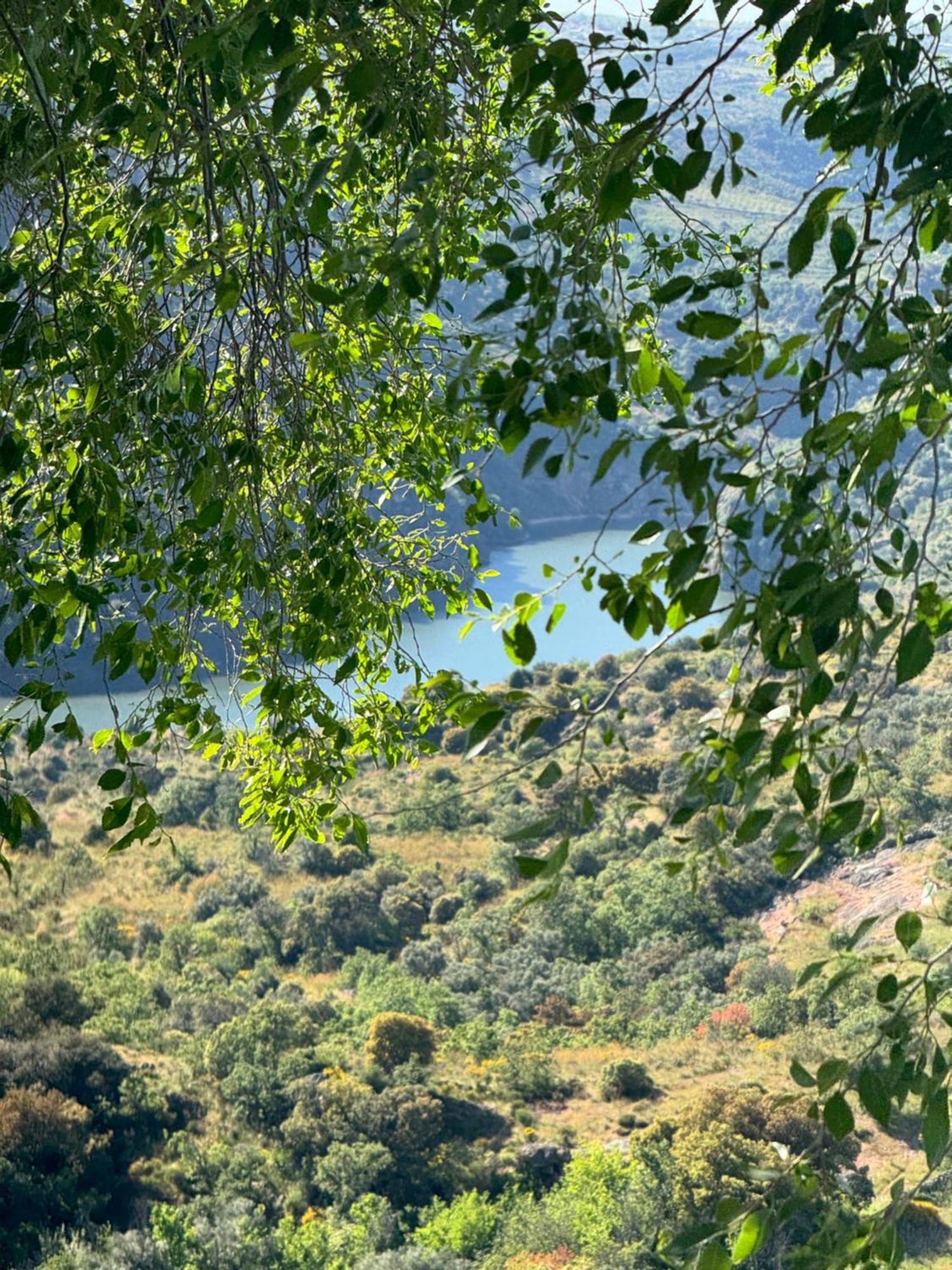 La Casita De Los Arribes Fermoselle Eksteriør billede